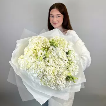 Альпийское сияние Альпийское сияние