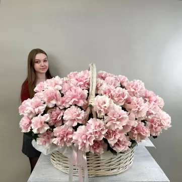Улыбка любимой