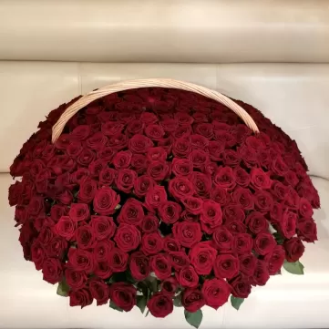 Букет из 301 красной розы в корзине