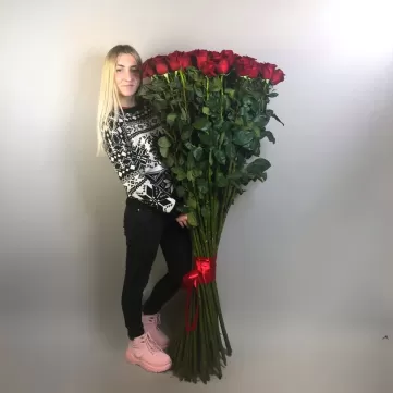 51 роза 150 см