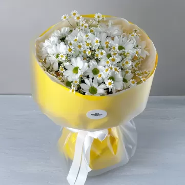 Мое солнышко