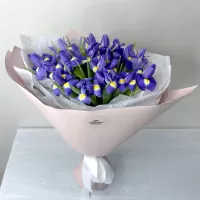 Букет из 19 ирисов